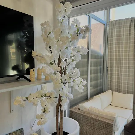 Petit Cocon Idealement Situe 4daup4 Apartment *