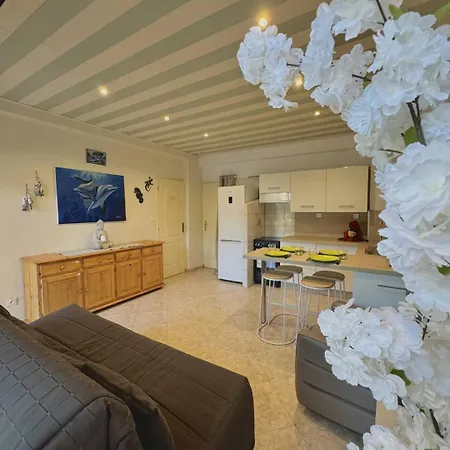 Lägenhet Petit Cocon Idealement Situe 4daup4 *