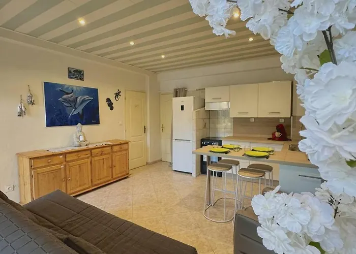 Petit Cocon Idealement Situe 4daup4 Apartment